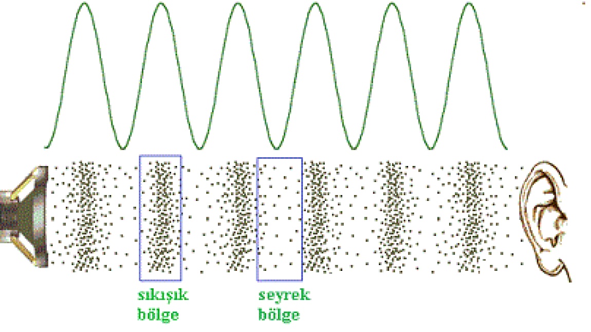 Ses Dalgaları Nasıl Yayılır?